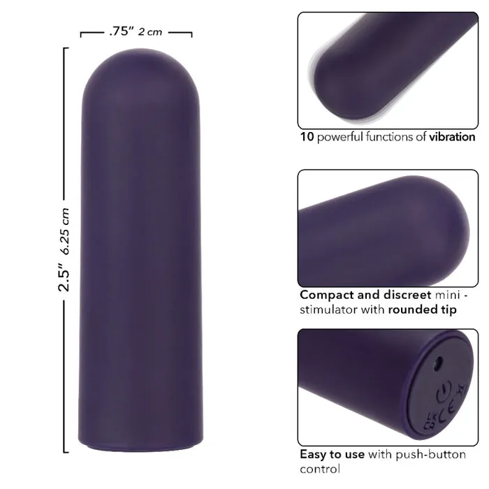 Calexotics Vibrators | Turbo Buzz Rounded Mini Bullet - Purple