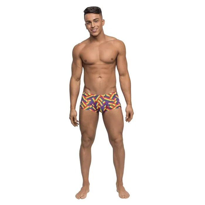 Female Sex Toys Male Power Pride Fest Mini Short Large Print