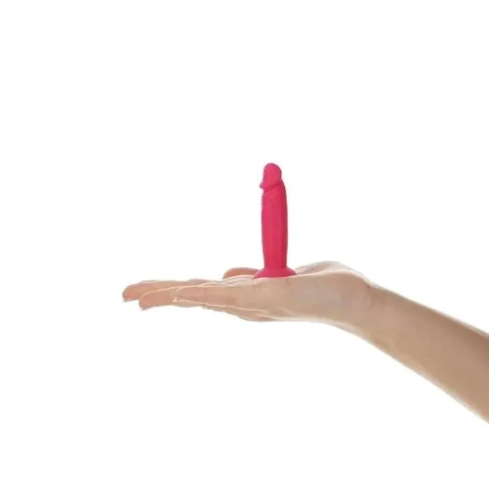 Dildos Silly Willy Dildo Assorted Colours WIL