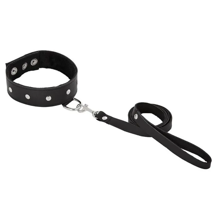 Restraints Sportsheets Leather Leash And Collar Sportsheets