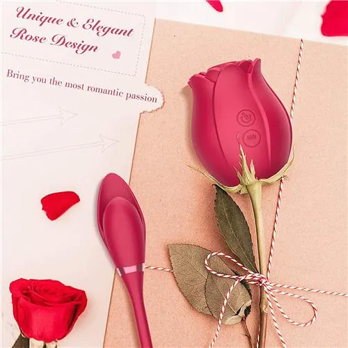 2in1 Long Rose Vibrator Pink 3ZToyBox Vibrators