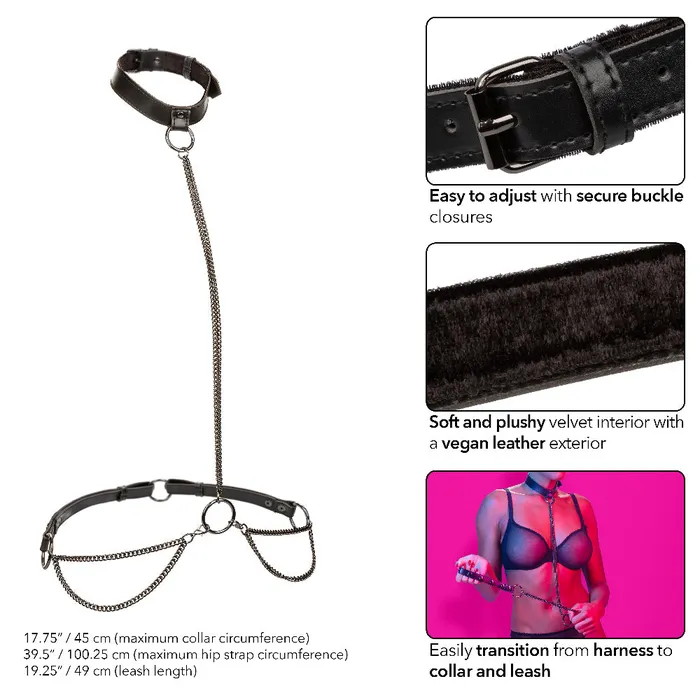 Anal CalExotics Euphoria Collection Chain Haltercollar and Leash Black