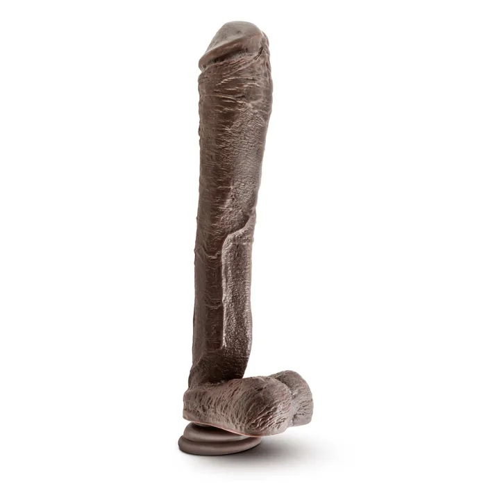 Dr Skin Mr Ed 13 Dildo With Suction Cup Chocolate Blush Novelties Female Sex Toys