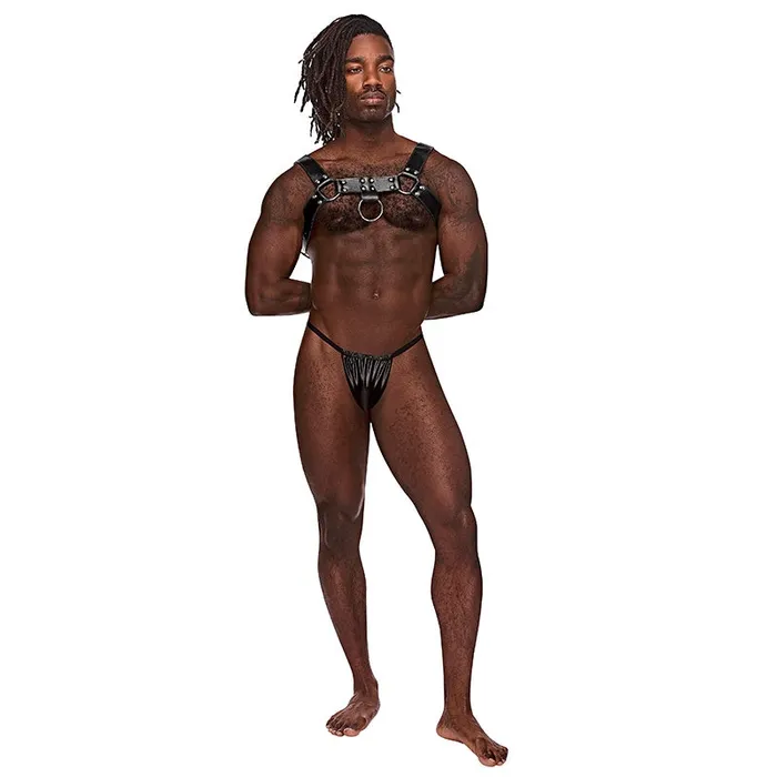 Anal Male Power Black Blue Aries Harness