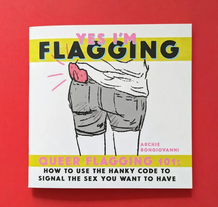 Vibrators Microcosm Publishing Yes Im Flagging Queer Flagging 101 Zine