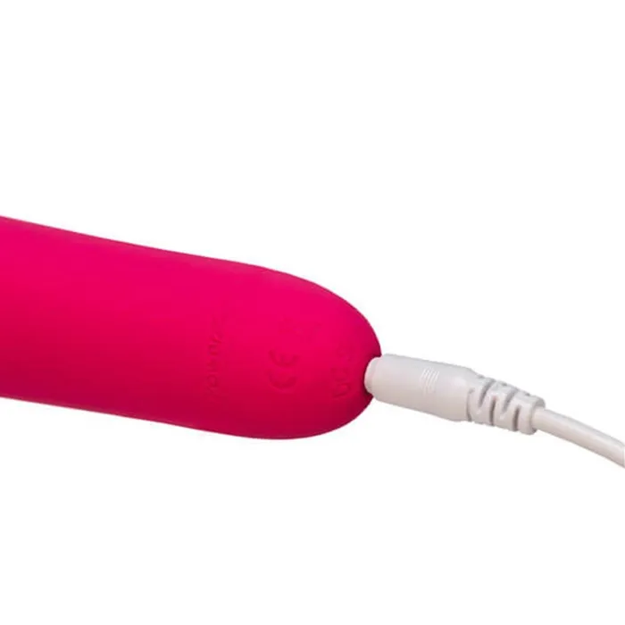 Vibrators Wonderlust Destiny Magic Wand Swan Swan